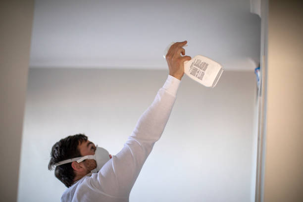 Best Mold Cleaning Services  in Roselawn, IN
