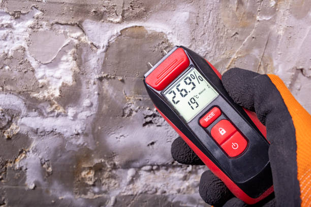 Professional Mold Removal in Roselawn, IN