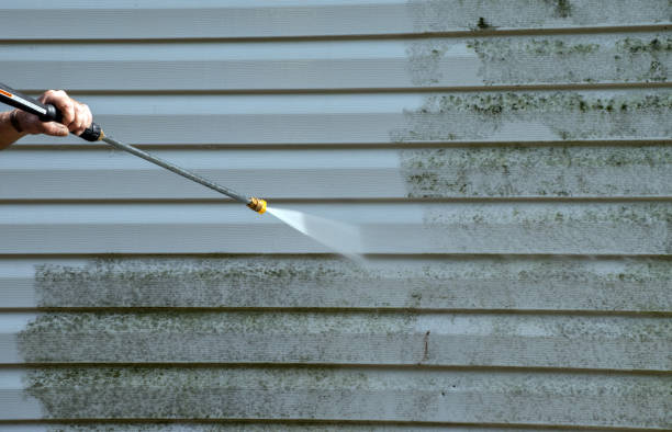 Best Commercial Mold Removal  in Roselawn, IN